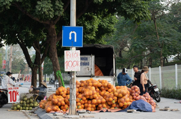 Bưởi Diễn 'đổ đống' vỉa hè Hà Nội, chỉ 2.000 đồng/quả: Thực hư loại bưởi đang bán đầy phố