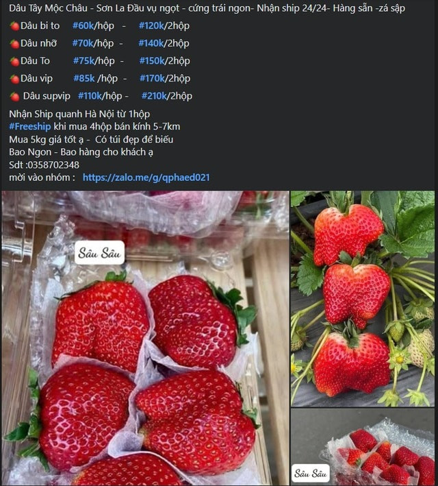 dau-tay-gia-re-3.jpg