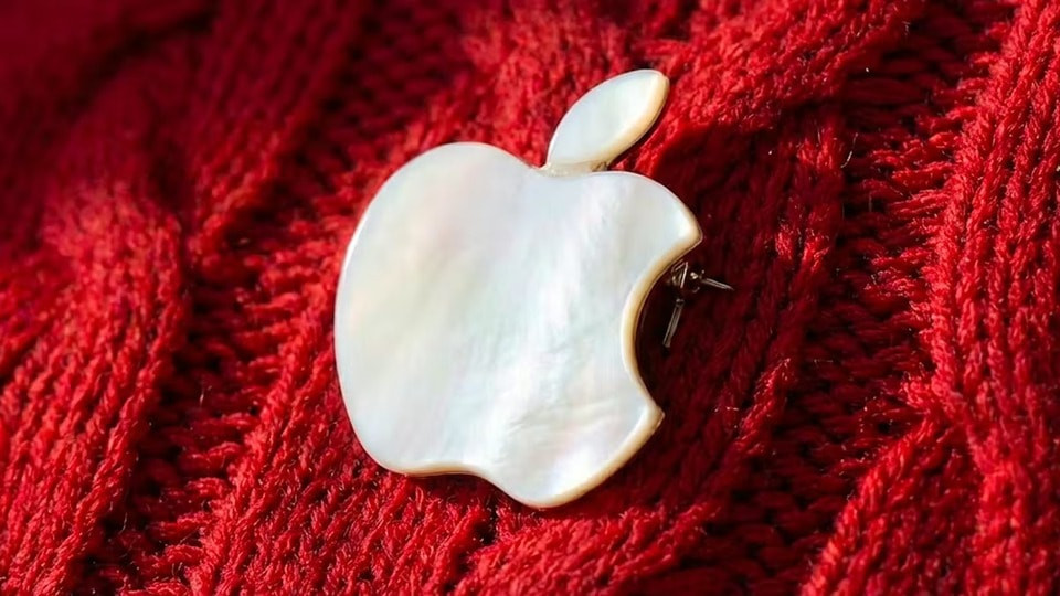 ghim-cai-ao-apple.jpg