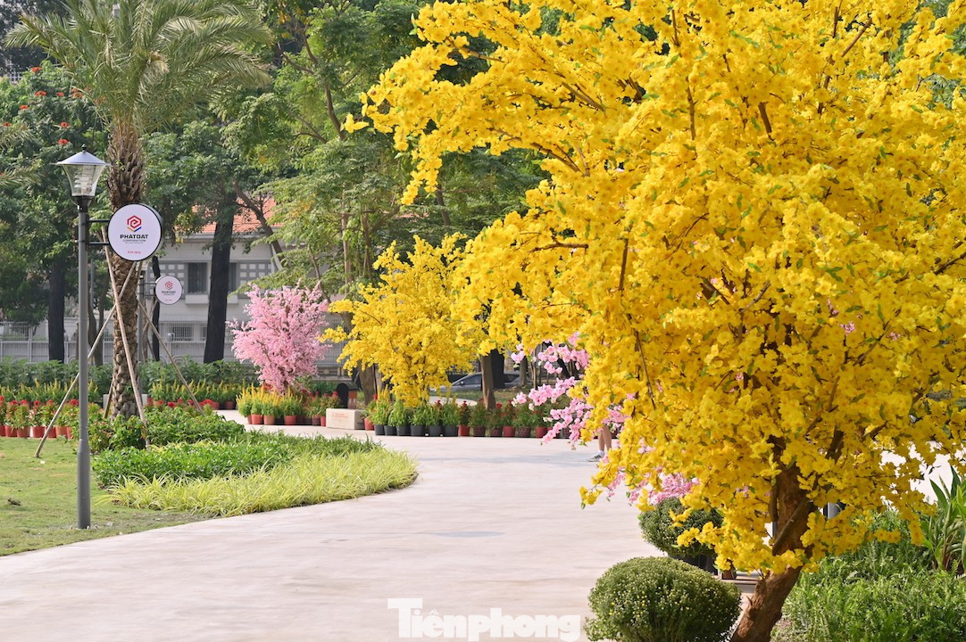Công trình dành những khu vực riêng cho hoa Tết và trang trí theo mùa, sẽ tiếp tục được bổ sung, điều chỉnh linh hoạt để phù hợp với dịp Tết, góp phần tạo không khí sinh động và gần gũi cho người dân. tp-8.jpg