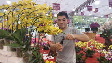 Nghề thời vụ kiếm 5 triệu/ngày mỗi dịp Tết khiến dân văn phòng 'chỉ biết ước'