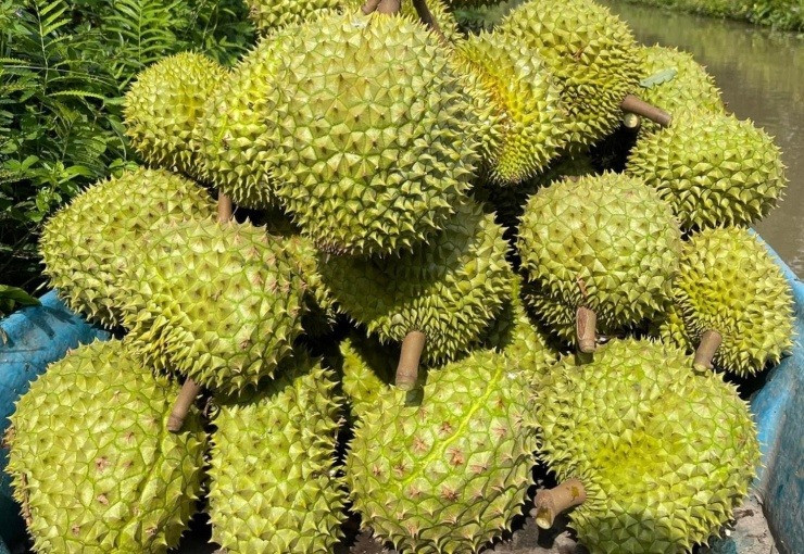 viet-nam-so-huu-vua-trai-cay.png