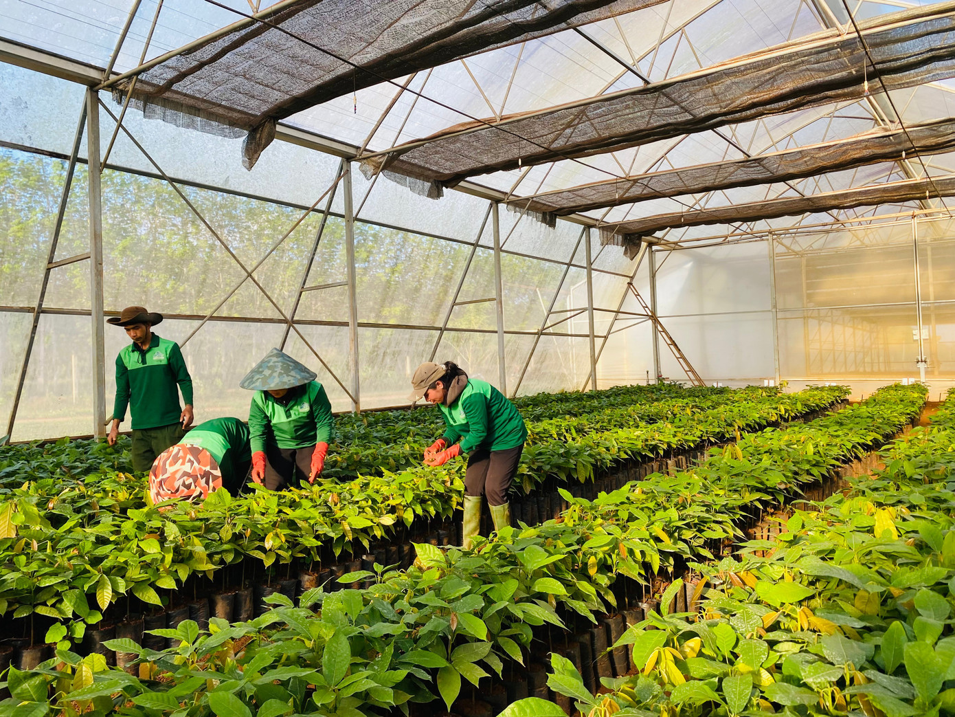 EU mong muốn thúc đẩy hợp tác với Việt Nam trong lĩnh vực chuyển đổi xanh. Ảnh: Thu Loan img-7702.jpg