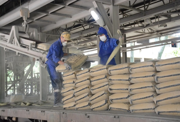 Thua lỗ nhiều năm liên tiếp, công ty xi măng 32 năm tuổi đứng trước nguy cơ bị hủy niêm yết
