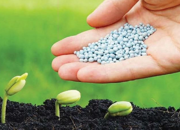 Việt Nam chi gần 2,2 tỷ USD mua mặt hàng được ví là 'cứu tinh' cho nông sản