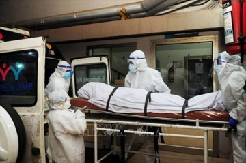 Virus Nipah xuất hiện tại Ấn Độ, Việt Nam chưa ghi nhận ca bệnh
