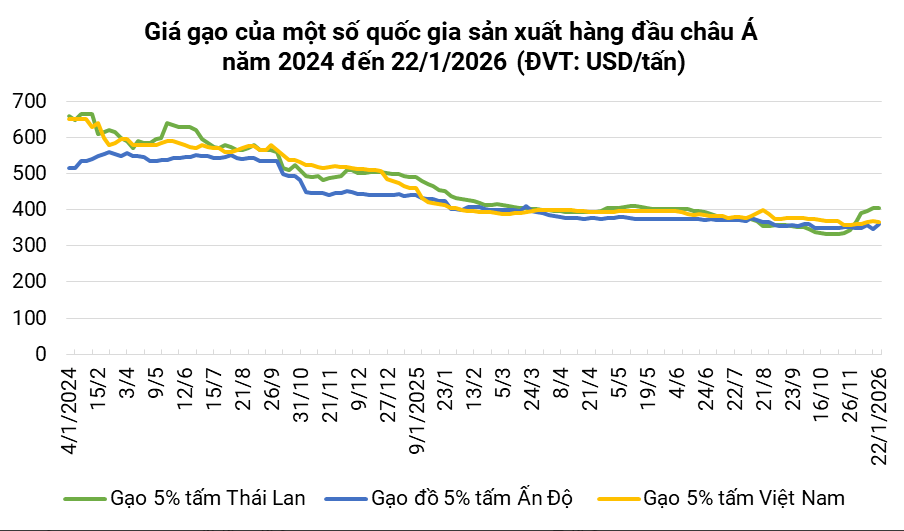 Đối thủ số 1 ở Đông Nam Á vượt mục tiêu xuất khẩu gạo hơn 7,9 triệu tấn, Việt Nam liệu có bị vượt mặt? - ảnh 3