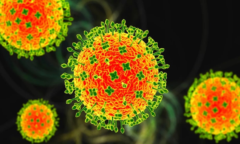 Nóng: Ấn Độ phát hiện ổ dịch virus Nipah có tỷ lệ tử vong cao, hàng loạt sân bay châu Á nâng mức cảnh báo - ảnh 2