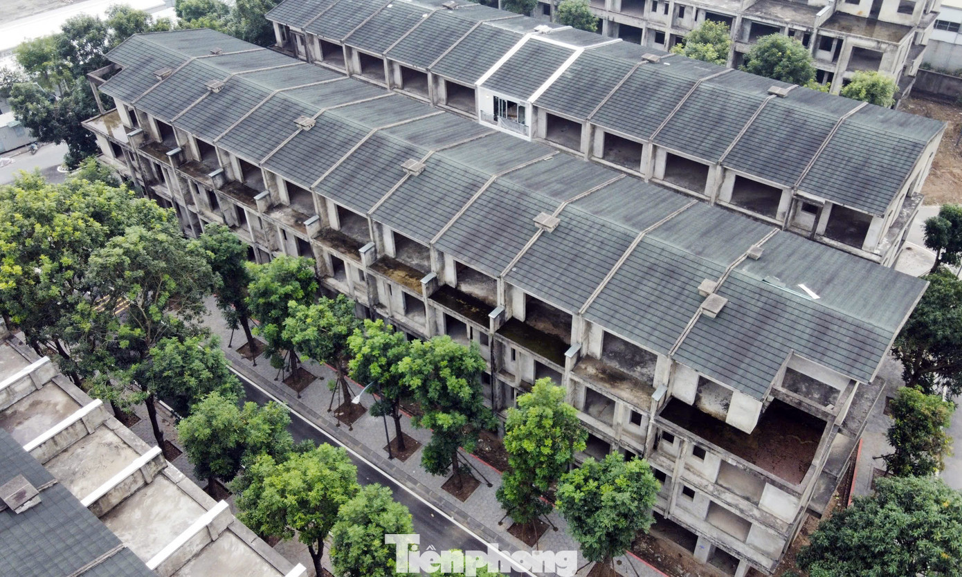 tp-du-an-vuon-van-tue1.jpg