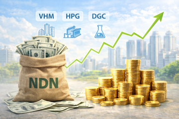 Mang tiền đầu tư loạt cổ phiếu nóng như VHM, HPG, DGC, một doanh nghiệp bất động sản thắng lớn