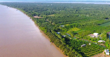 Quy hoạch cù lao được mệnh danh ‘Vương quốc bần’ miền Tây thành trung tâm du lịch sinh thái – nghỉ dưỡng cao cấp