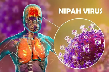 Tin vui: Trung Quốc tìm ra thuốc phòng chống virus Nipah hiệu quả