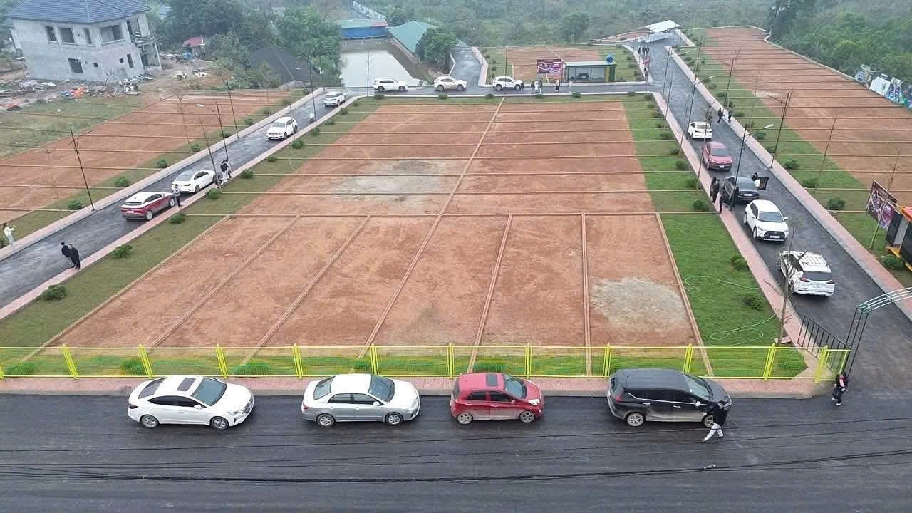 Chuyên gia khuyến nghị nhà đầu tư cần tỉnh táo trước các cơn z7476513225822-06102654b7d96a6b555f5f73073922cd.jpg