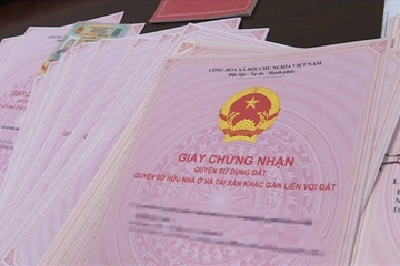Khởi tố 'cán bộ địa chính' Trần Thị Dịu SN 1994