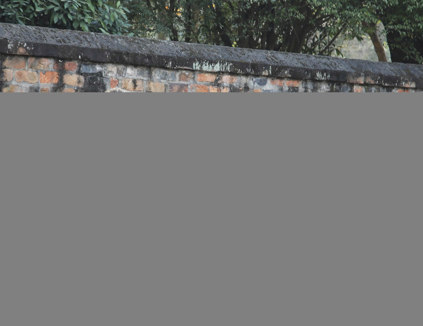 Chủ tịch Hội đồng châu Âu tham quan Văn Miếu - Quốc Tử Giám ảnh 3 tp-bl_img-2154.jpg