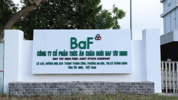 BAF Việt Nam: Cơ hội 'đảo chiều' sau chu kỳ biến động quý IV/2025 của ngành chăn nuôi
