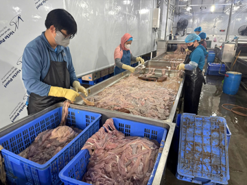 Kiểm tra công ty Dũng Phát, phát hiện gần 60 tấn lòng cấp đông nửa năm có mùi hôi thối, chuẩn bị đưa ra thị trường