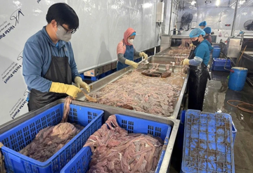 Phát hiện gần 64 tấn lòng lợn bốc mùi tại công ty Dũng Phát