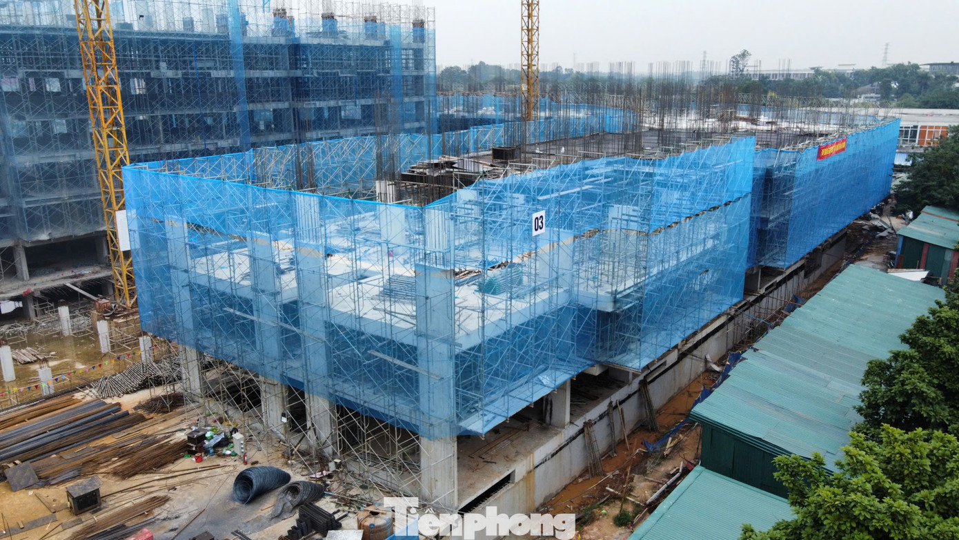 C06 có hướng dẫn về xác nhận thu nhập mua nhà ở xã hội cho lao động tự do. Ảnh: Ninh Phan. tp-nha-o-xa-hoi-ct3-kim-chung10.jpg