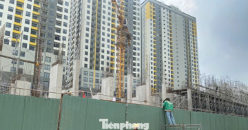 Giá căn hộ Hà Nội diễn biến trái ngược với TPHCM