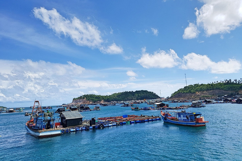 Chỉ đạo, điều hành của Chính phủ, Thủ tướng Chính phủ nổi bật tuần từ 24-30/1/2026- Ảnh 2.