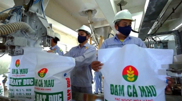 Thoát khỏi ‘cái bóng’ chu kỳ giá, Đạm Cà Mau (DCM) trở thành điểm sáng ngành phân bón 2026