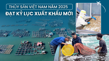 Con tôm, con cá mang về hơn 11 tỷ USD cho Việt Nam: CPTPP và Trung Quốc trở thành trụ cột xuất khẩu
