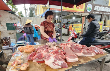 Hơn 1,2 triệu con lợn bị tiêu hủy: Giá lợn hơi tăng mạnh nhưng dự báo sớm hạ nhiệt