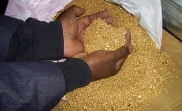 Thu giữ 2,27kg vàng trị giá hơn 8,4 tỷ đồng ngay tại sân bay
