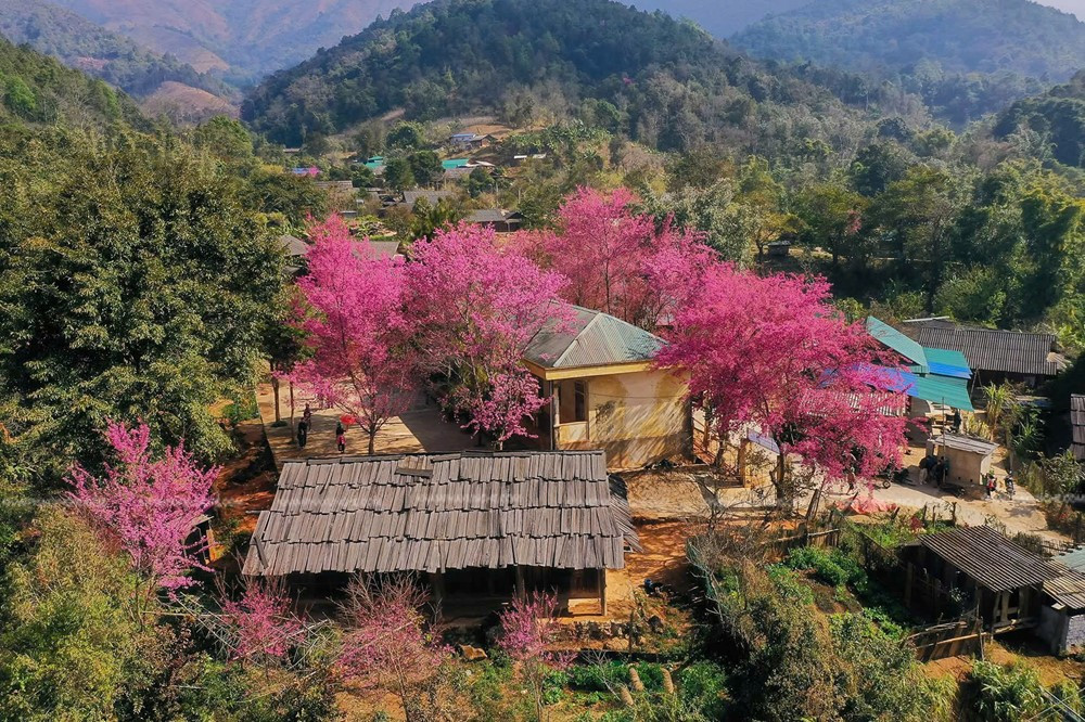 Ngôi làng miền biên viễn xứ Nghệ được ví như 'Nhật Bản thu nhỏ', sở hữu cảnh đẹp đến nao lòng - ảnh 1