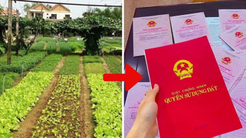 Đừng đợi đến lúc quá hạn: Tại sao đây là 'thời điểm vàng' để chuyển đổi đất vườn sang đất ở?