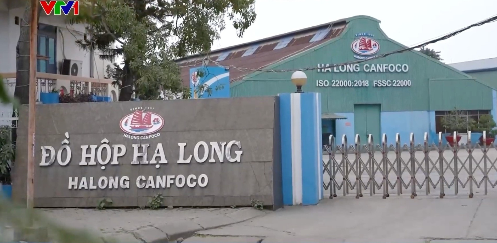 do-ho-ha-long-1.jpg