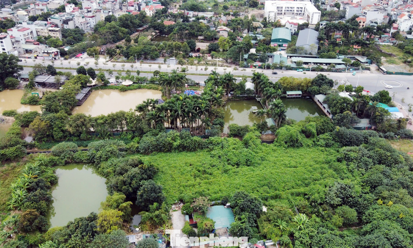 Dự án do Công ty Cổ phần Tập đoàn TPG đề xuất, thực hiện thông qua đấu thầu lựa chọn nhà đầu tư. Dự kiến dự án triển khai từ năm 2028. tp-du-an-nha-o-xa-hoi-van-phong-chu-tich-nuoc8.jpg