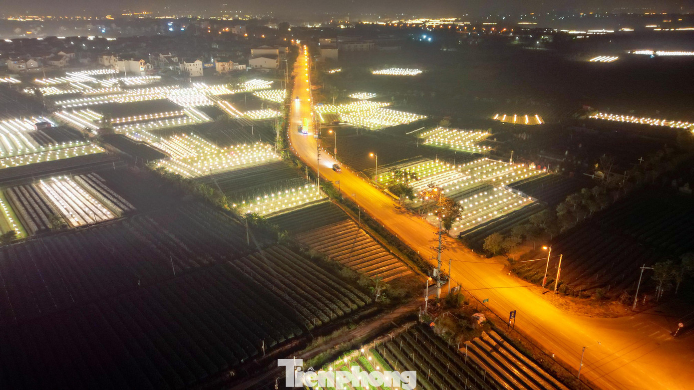 Mê Linh là vùng trồng hoa lớn của Hà Nội, cung cấp hoa hồng, hoa cúc, ly và nhiều loại hoa trang trí cho thị trường Tết. Thời điểm này, người trồng hoa tập trung điều chỉnh kỹ thuật để cây sinh trưởng đúng nhịp, tránh tình trạng nở sớm hoặc muộn so với nhu cầu tiêu thụ. tp-hoa-me-linhdji-0707.jpg