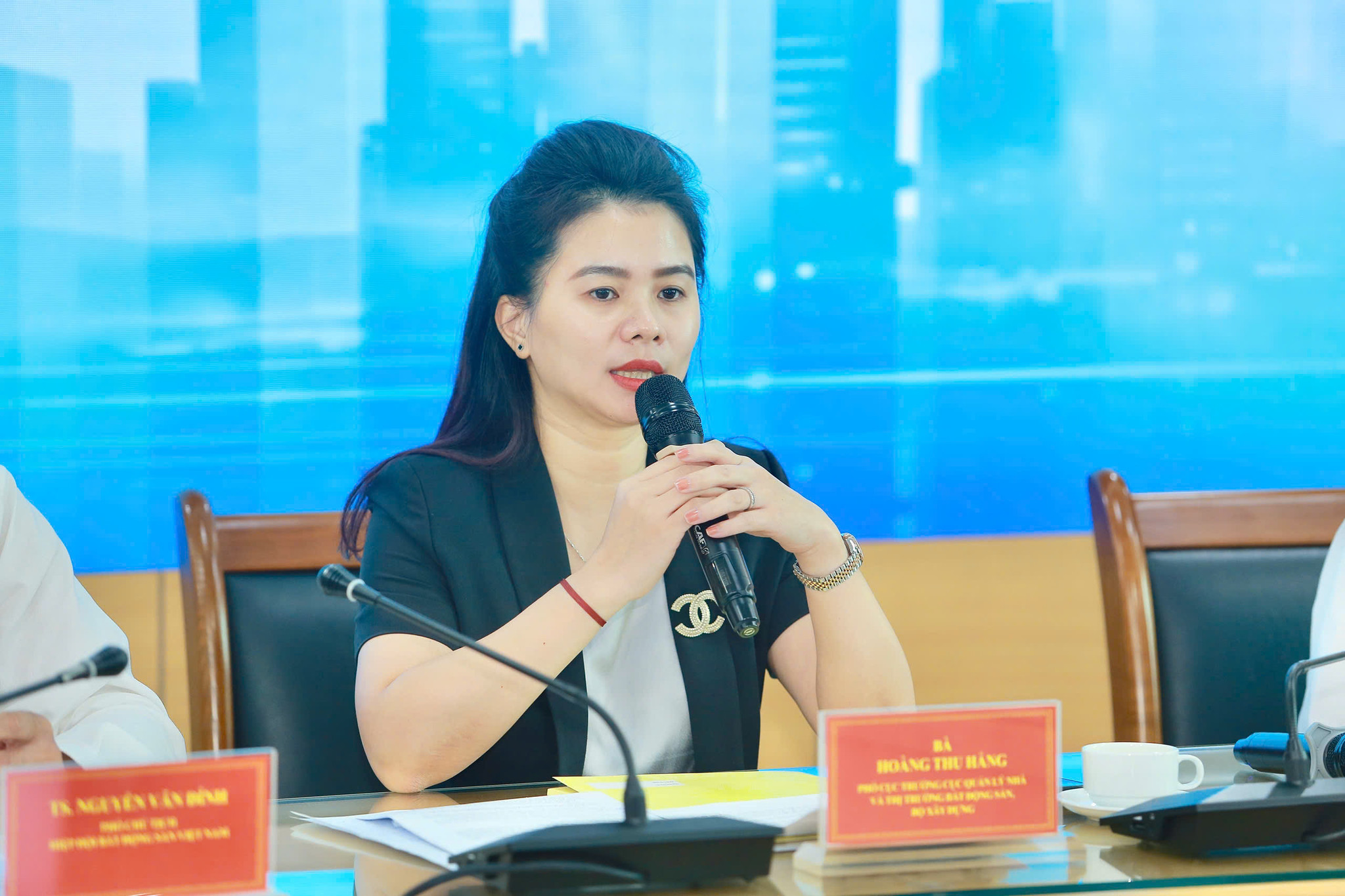 ba-hoang-thu-hang-noi-ve-bat-dong-san.jpg