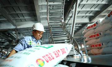 Đề xuất giảm thuế xuất khẩu phân bón từ 5% xuống 0%