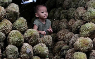 Malaysia muốn đàm phán mở tuyến đường bộ qua Việt Nam và Thái Lan để rút ngắn thời gian đưa sầu riêng sang Trung Quốc