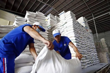 Hai nền kinh tế lớn thứ tư và top 10 thế giới đồng loạt đấu thầu gạo: Tín hiệu vui cho xuất khẩu lúa gạo cuối năm