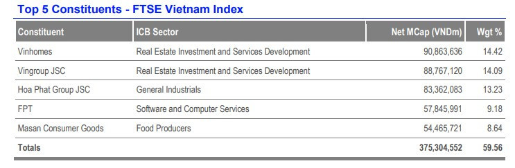 Top 5 FTSE Vietnam index