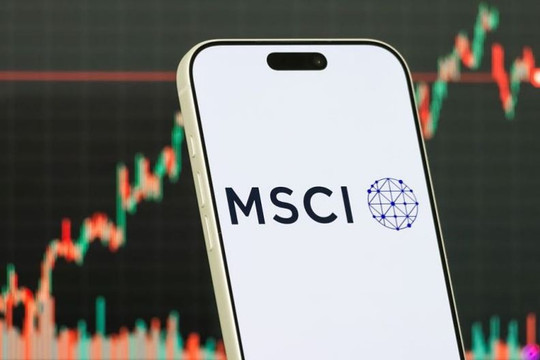 2fb9_msci-1.jpg