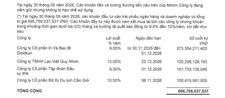 Các khoản đầu tư trái phiếu của <a style='text-decoration: none;' href='/DGW'>DGW</a>