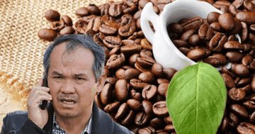 Cà phê Việt nóng với loạt thỏa thuận lớn: Bầu Đức chốt đơn 1.000 tấn ở Trung Quốc, doanh nghiệp vốn 9 tỷ ký MoU 200.000 tấn ngay tại 'sân nhà'