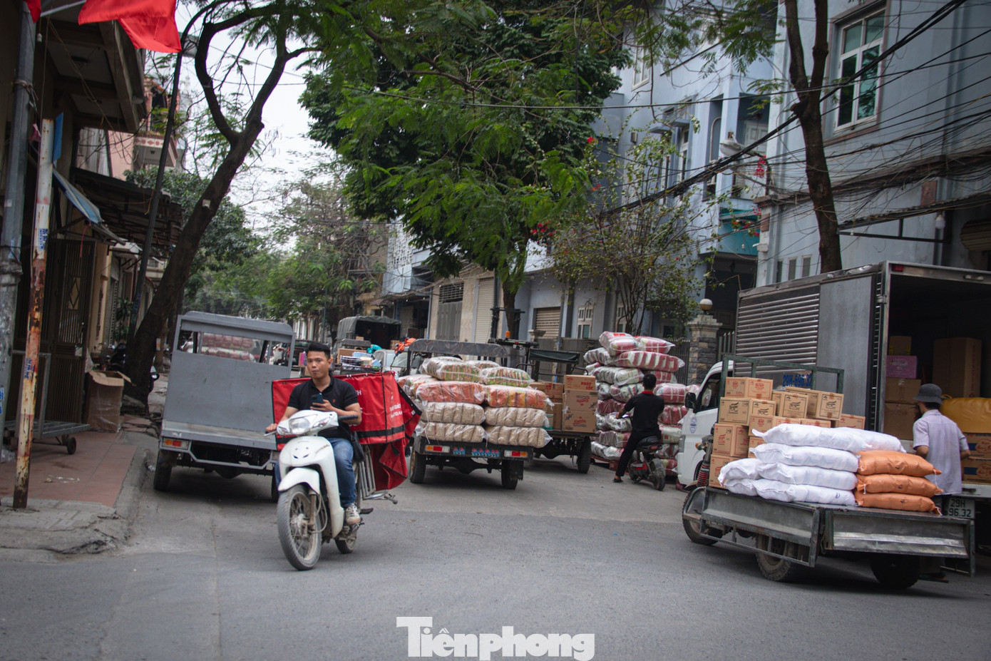 tp-hoatet-39.jpg
