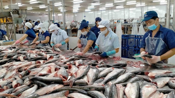 Lỗ lũy kế 800 tỷ đồng, doanh nghiệp thủy sản 33 năm tuổi chính thức bị hủy tư cách công ty đại chúng