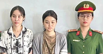 Bắt 8 đối tượng giấu ma túy tại bãi đất trống, ngụy trang trong hộp giấy chứa thức ăn thú cưng để giao dịch liên tỉnh