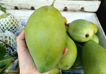Loại quả quen thường xuất hiện trong mâm ngũ quả vọt giá 200.000 đồng/kg, dân TP.HCM 'săn' hàng chưng Tết