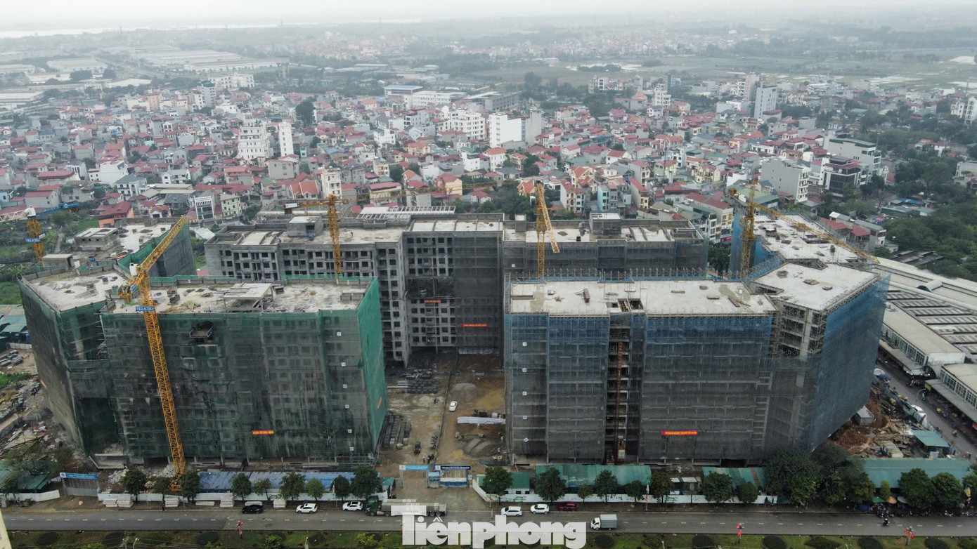 tp-nha-o-xa-hoi.jpg