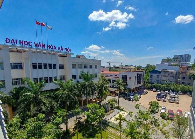 dhvh-1.jpg