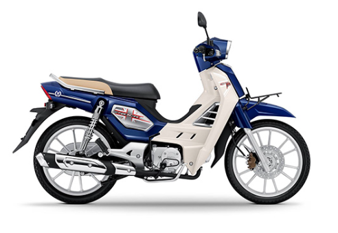 GPX Rock 110-2