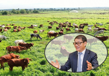 Công ty nuôi 155.000 con bò của ông Trần Bá Dương được khen là có tầm nhìn vượt ra ngoài địa giới 1 tỉnh, 1 quốc gia